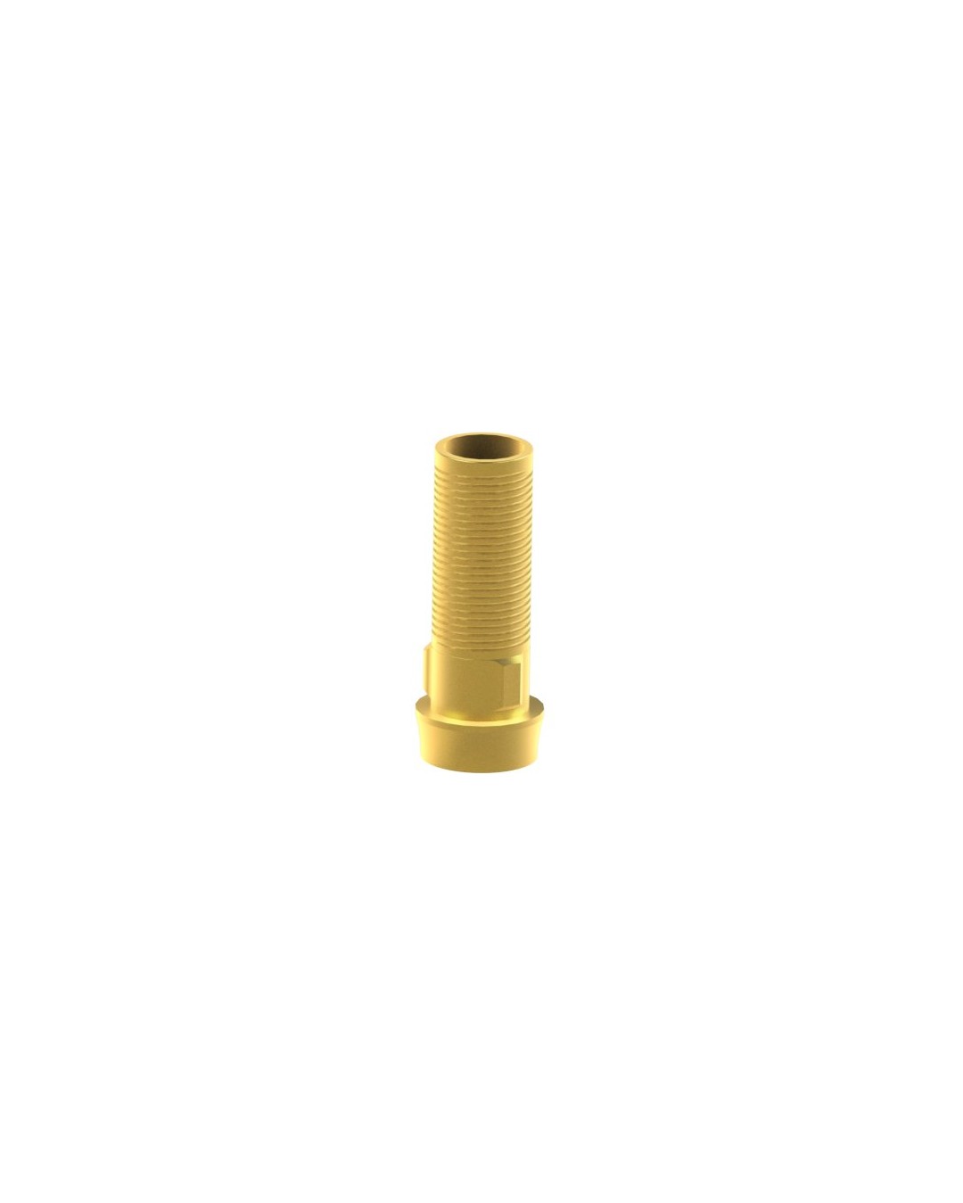 Custom Ti-Base compatible with BTI® Externa