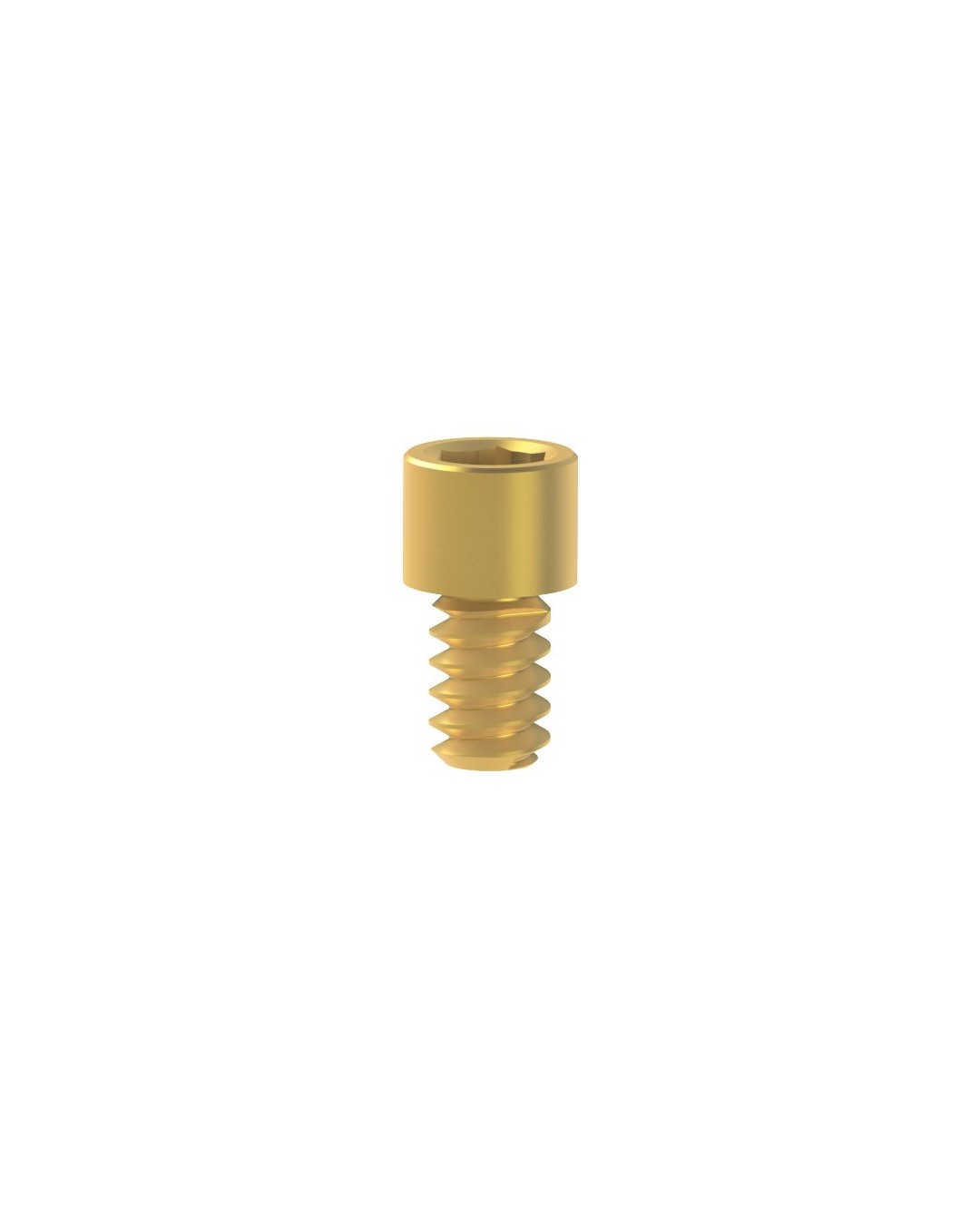 Screws kompatybilne z BTI® Multi-IM®