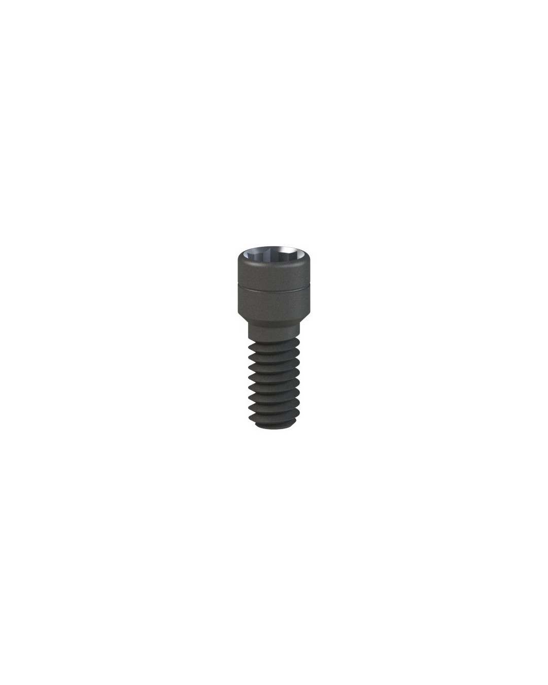 Screws kompatybilne z Klockner® SK2-NK2