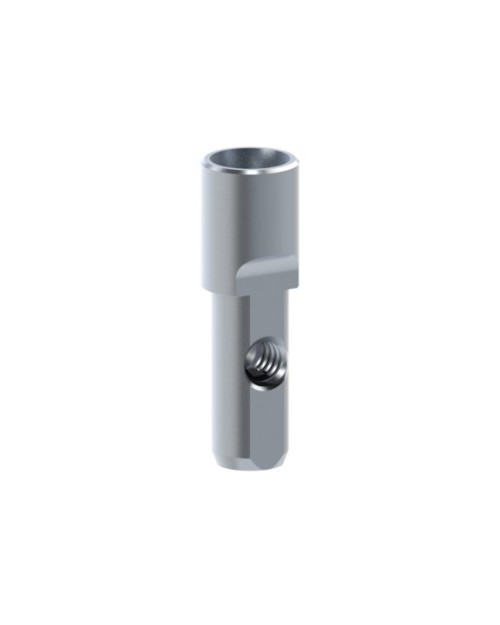 Analogs compatible with Megagen® AnyRidge®